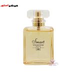 عطر ادکلن اسمارت شنل کوکو مادمازل 25 میل کد 99