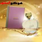 شنل چنس او تندر شرکتی